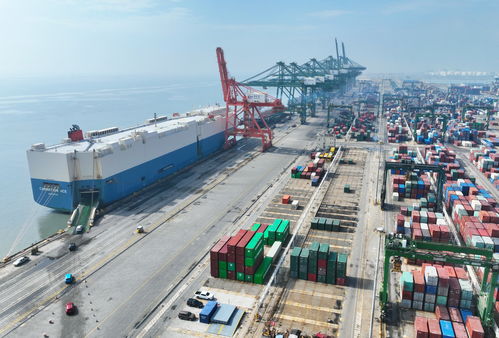 人民日報金社平 中國新能源產(chǎn)業(yè)發(fā)展是全球性貢獻(xiàn)和機(jī)遇