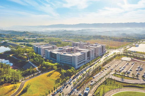 重慶首個(gè)人工智能產(chǎn)業(yè)基金,來了